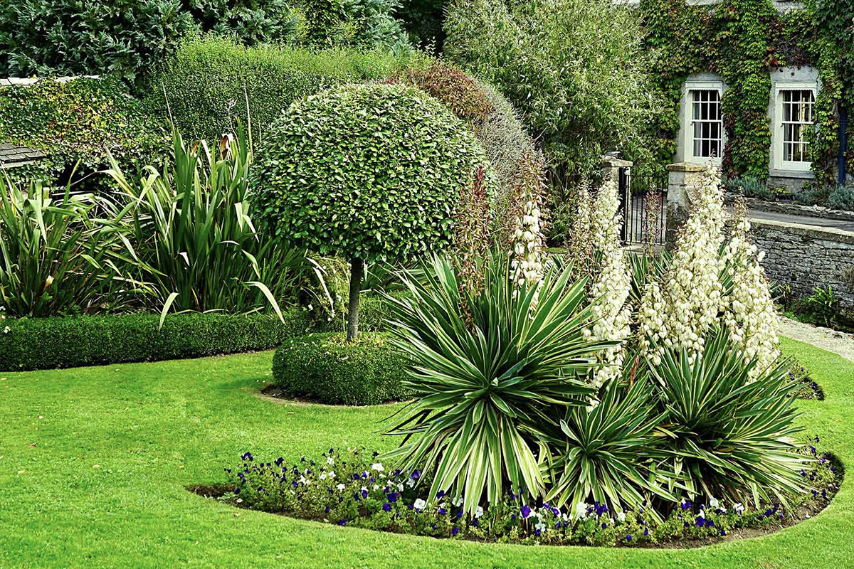 Garden Plants
