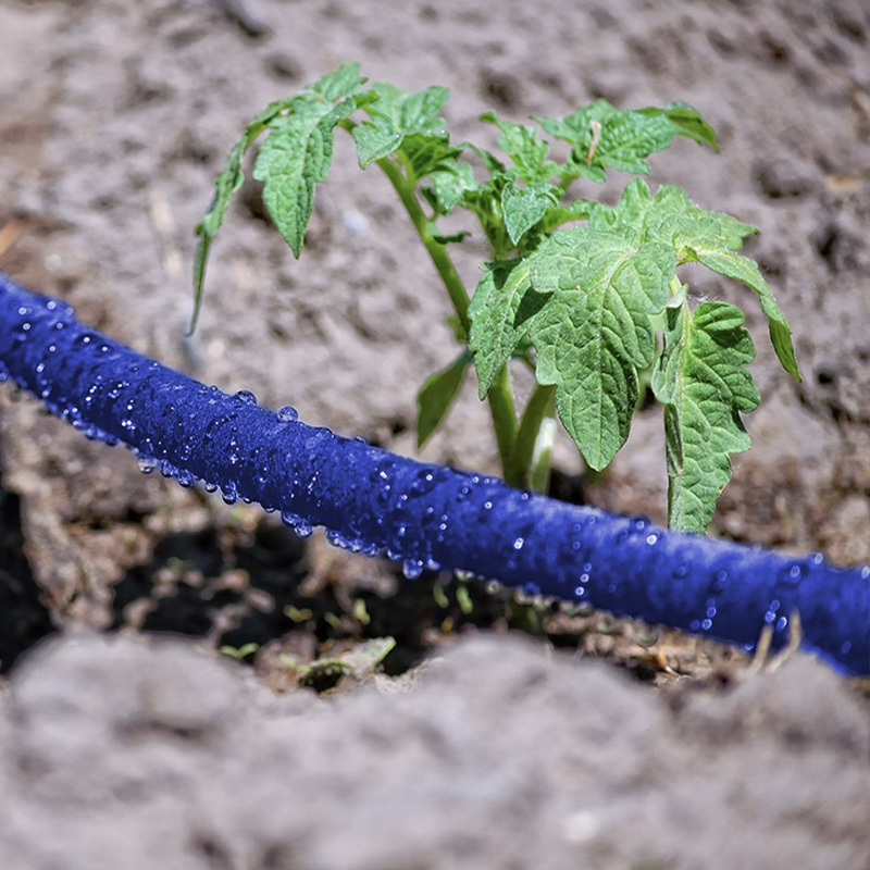 hoses.jpg